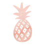 Ananas-vector-web